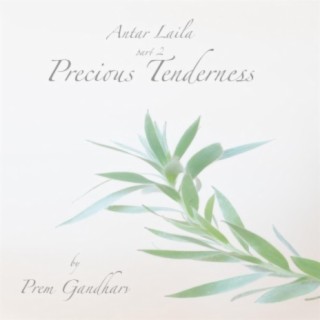 Antar Laila, pt. 2 (precious tenderness)