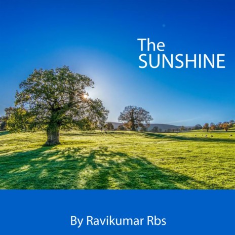 The SUNSHINE | Boomplay Music