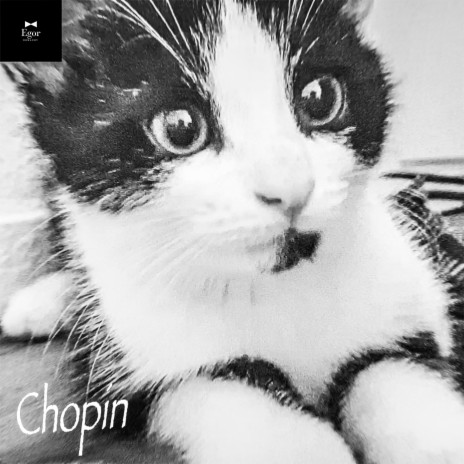 Chopin | Boomplay Music