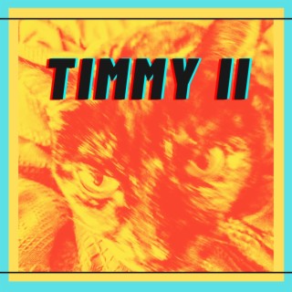 Timmy II