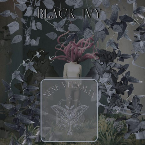 Black Ivy | Boomplay Music