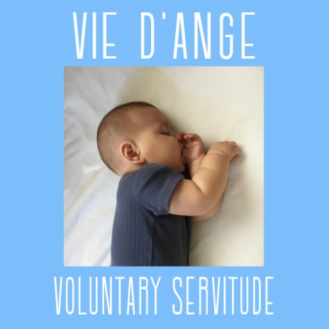 Voluntary Servitude | Boomplay Music