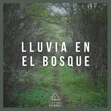 Lluvia en el Bosque, Pt. 19 | Boomplay Music