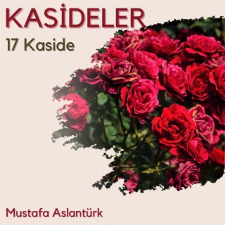 Kasideler