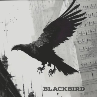 Blackbird lyrics | Boomplay Music