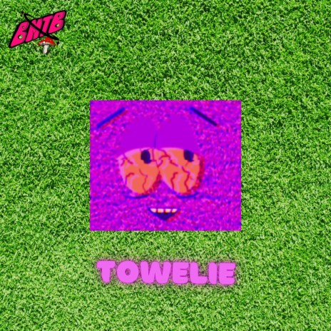 Towelie | Boomplay Music