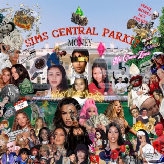 Sims Central Park'n IT!