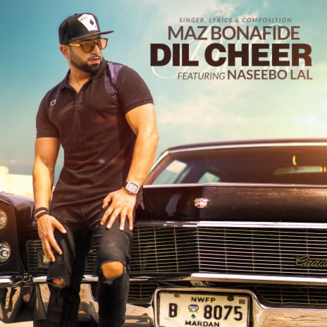 Dil Cheer (feat. Naseebo Lal) | Boomplay Music