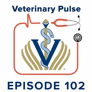 Life as a veterinary student in the age of COVID-19 with Shiloh Landskov
