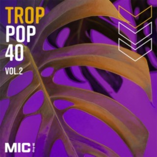 Trop Pop 40 Vol. 2