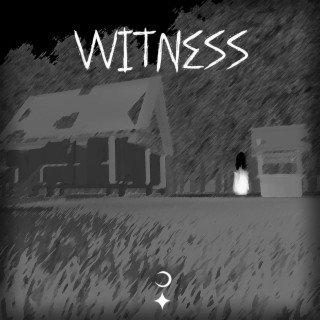 Witness