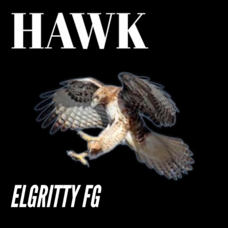 HAWK | Boomplay Music