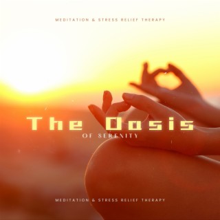 The Oasis of Serenity: Nurturing a Meditation Practice