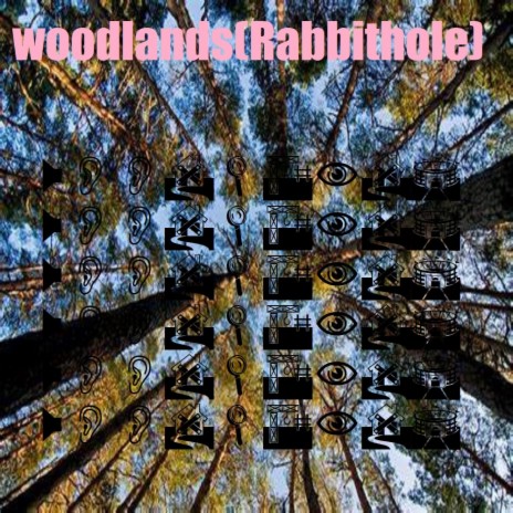 Woodlands(Rabbithole) | Boomplay Music