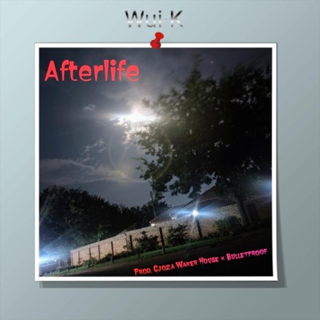 Afterlife (Radio Edit) | Boomplay Music