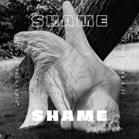 Shame | Boomplay Music