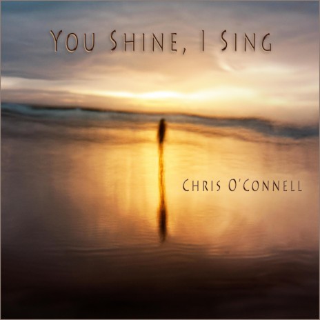 You Shine, I Sing | Boomplay Music