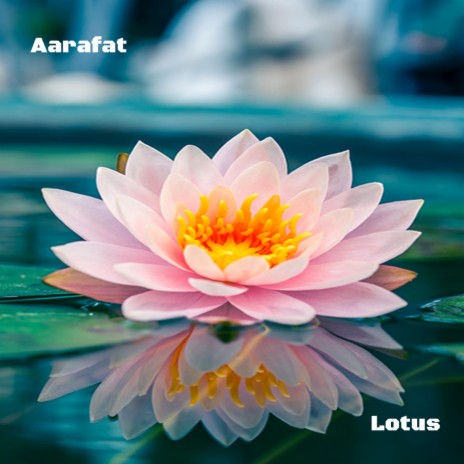 Lotus ft. No Games