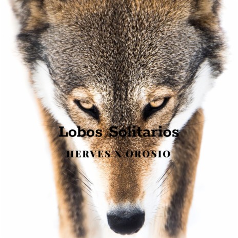 Lobos Solitarios (feat. Herves) | Boomplay Music