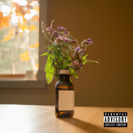 Flower Drugs | Boomplay Music