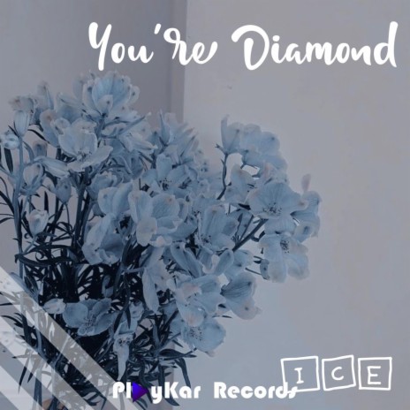 You're Diamond ft. PlayKar Records