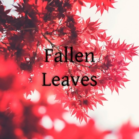 Fallen Leaves