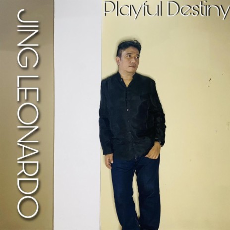 Playful Destiny | Boomplay Music