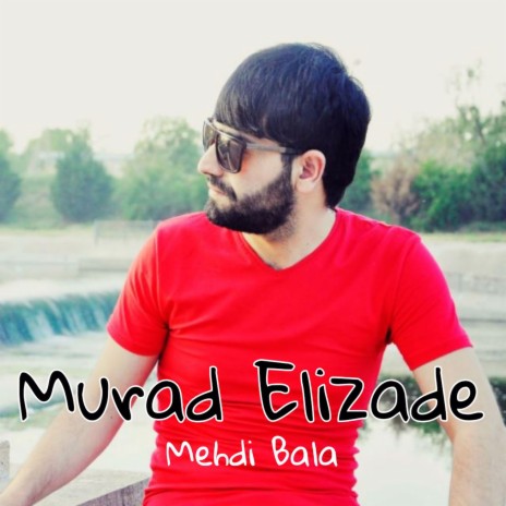 Mehdi Bala