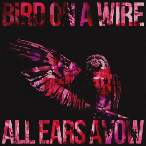 Bird On A Wire | Boomplay Music