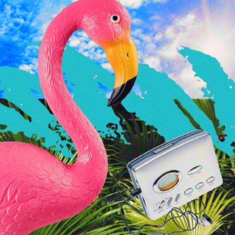 flamingo | Boomplay Music