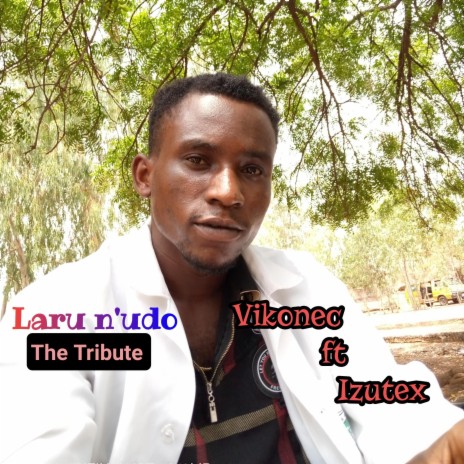 Laru n'udo (the tribute) (feat. Izutex) | Boomplay Music