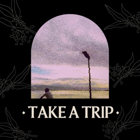 take a trip | Boomplay Music