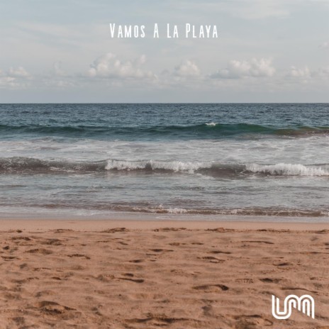 Vamos A La Playa (Hardstyle) ft. ZYZZ | Boomplay Music