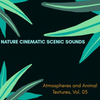 Nature Cinematic Scenic Sounds - Atmospheres and Animal Textures, Vol. 03