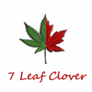 7 Leaf Clover