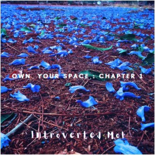 Own Tour Space : Chapter 1