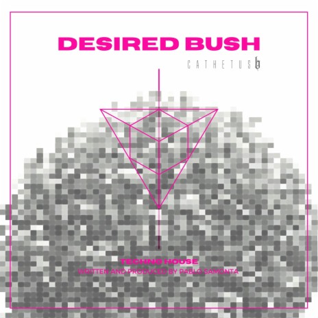 Desired Bush ft. Pablo Samonta | Boomplay Music