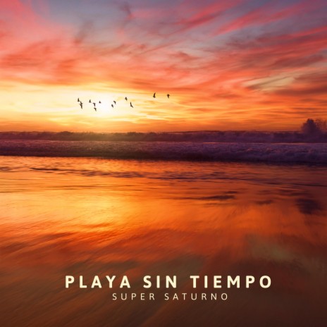 Playa Sin Tiempo | Boomplay Music