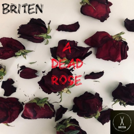 A dead rose | Boomplay Music