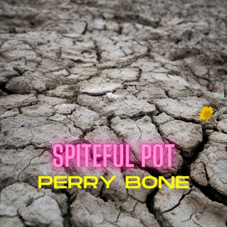Spiteful Pot | Boomplay Music