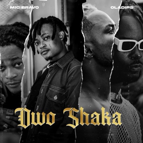 Owo Shaka ft. Oladips
