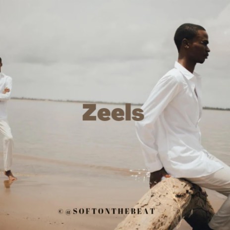 Zeels Afrobeat (Instrumental)