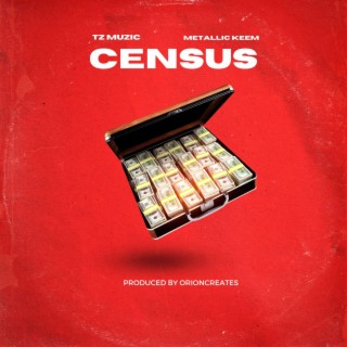 Census ft. Metallic Keem lyrics | Boomplay Music