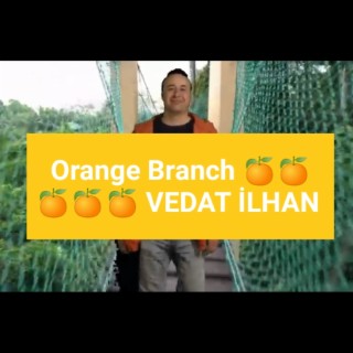 Orange Branch