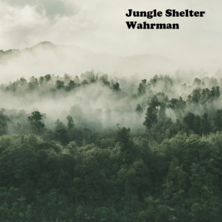 Jungle Shelter