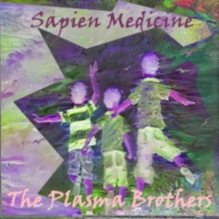 The Plasma Brothers