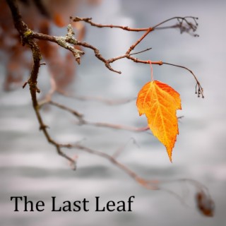 The Last Leaf