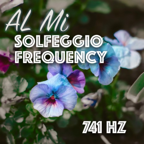 Harmonic Resonance: Solfeggio Frequency 741 Hz | Boomplay Music