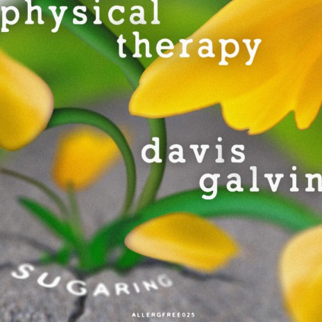 Sugaring (Facta Dub) ft. Davis Galvin | Boomplay Music