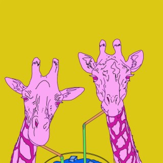 Pink Giraffes